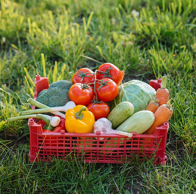 There are many variations of passages of Lorem Ipsum available, but majority have suffered teration in some form, by injected humour, or randomised words which don't look even slight believable. If you are going to use a passage of Lorem Ipsum.